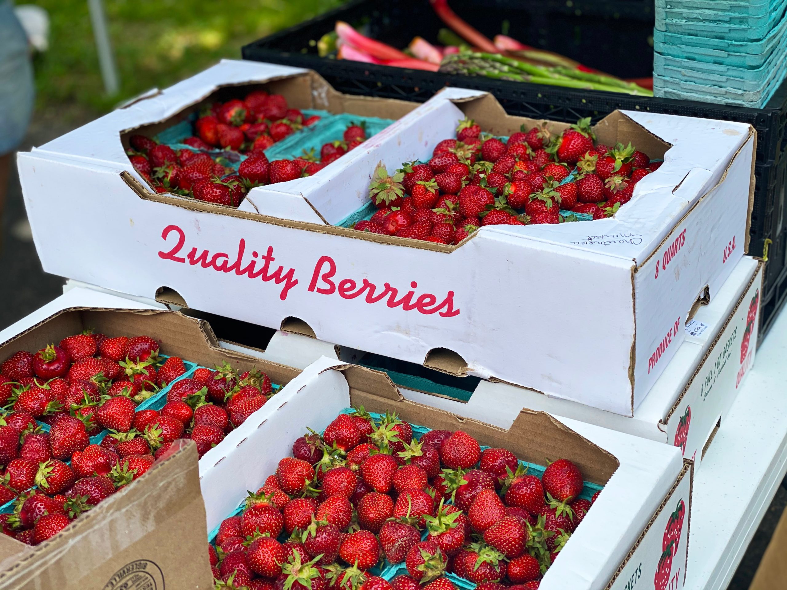 bulk berries